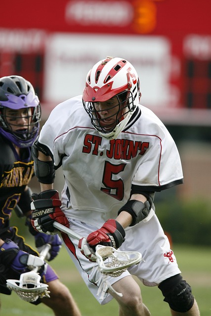 皇家社会多 皇家社会多